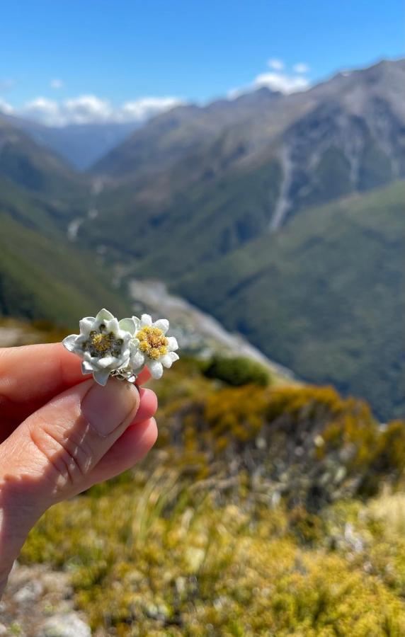 Arthur'S Pass Motel & Lodge Екстериор снимка